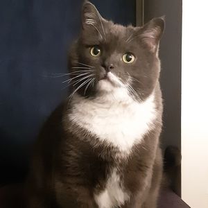 Meet your Posher, Ciara